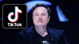 China exploring possible sale of US TikTok to Musk: report