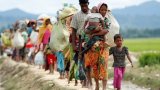 Rohingya crisis: a call for shared responsibility and lasting solutions