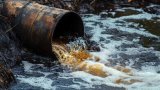 Government suggests ways to treat, reuse sewage sludge