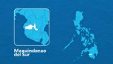 Maguindanao del Sur village councilor eyeing town council seat killed