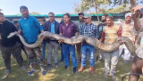 Giant 170-kilogram python captured in Uttarakhand's Kashipur