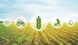 Azerbaijan reveals total value of agricultural products in agroparks