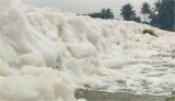 Toxic Foam Appears On Road Near Bengaluru After Heavy Rain