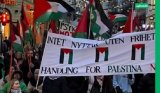 Norwegian people hold pro-Palestinian rally on New Year’s Day