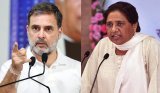 Rahul Gandhi questions Mayawati's political strategy, says BJP would have lost 2024 polls if BSP joined INDIA