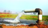 ‘81% of groundwater safe for irrigation’