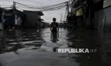 Banjir Rob Kembali Genangi Kawasan Muara Angke