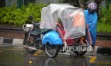 Hujan Lebat di DIY, Longsor Hingga Puluhan Pohon Tumbang Sampai Timpa Warga