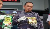 TNI AL Gagalkan Penyelundupan 2,6 Kg Sabu Asal Malaysia, Dikemas Dalam Bungkus Teh Cina