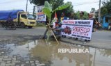 Protes Jalan Rusak, Warga Jember Tanam Pohon Pisang di Jalan