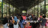 Puncak Kunjungan Ragunan Libur Nataru Diprediksi 1 Januari 2025