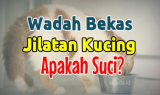 Apakah Makanan yang Dijilat Kucing Termasuk Najis?