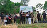 Pulihkan Hutan Bekas Tambang, Aksi Nyata Kelompok Tani Selamatkan Lingkungan Bersama BRI