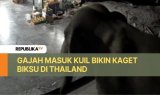 Gajah Masuk Kuil di Thailand, Bikin Kaget Biksu