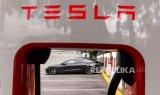 Tesla akan Luncurkan Mobil yang Lebih Murah di Semester Pertama Tahun ini