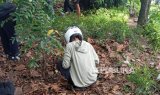 Satpol PP Tegur Hingga Denda Pemburu Koin Aplikasi Jagat yang Rusak Taman di Bandung