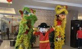 The Year of Wood Snake at Diamond Suites and Residences