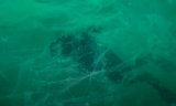 'A disaster': Underwater video reveals return of 'sea snot' in Turkey's Marmara Sea