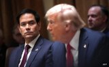 Elon Musk vs Marco Rubio: What Happened In Explosive Trump Cabinet Showdown