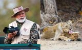 Watch: PM Modi's Lion Safari At Gujarat's Gir On World Wildlife Day