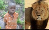 How An 8-Year-Old Boy Survived For 5 Days In Zimbabwe's Lion-Filled Reserve