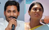 Brother vs Sister As Jagan Reddy, Sharmila Fight Over Hundreds Of Crores