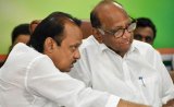 Unfortunate...: Sharad Pawar's Grandnephew On Contesting Against Ajit Pawar