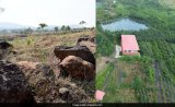 8 Years, 40,000 Trees: How Indore Man Turned Barren Hill Into A Forest