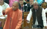 Pigs, Vultures: Yogi Adityanath Targets Critics Of Maha Kumbh