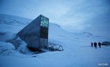 Doomsday Arctic Vault, The World's Backup Gene Bank, Sees Surge In Samples