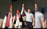 Akhilesh Yadav's Save Constitution Post On UP Bypolls, BJP Takes A Dig