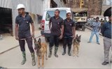 Kerala police cadaver dogs join Telangana tunnel collapse rescue efforts on 13 th day