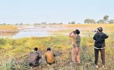 Cleanest city Indore sees dip in migratory birds